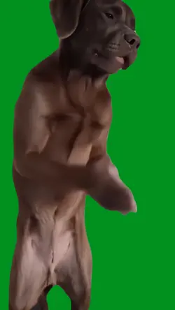 gonna bite u