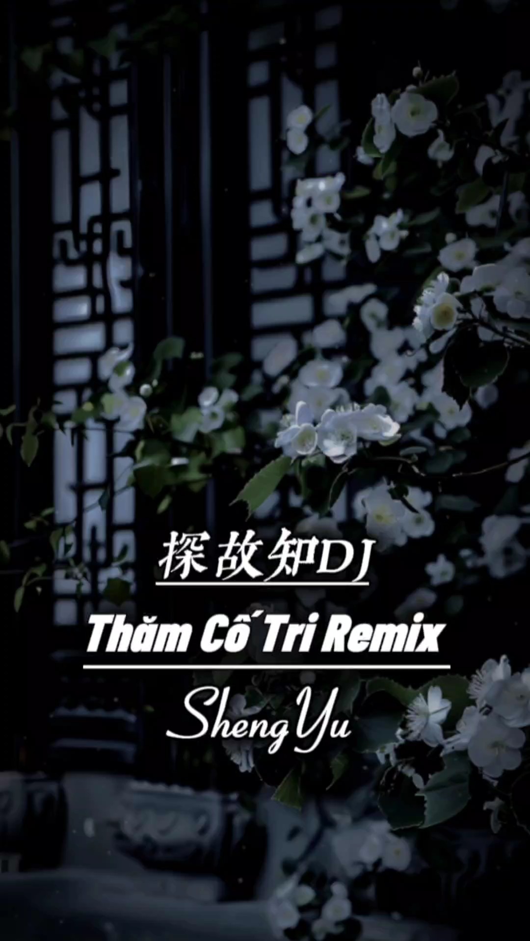 Thăm CTri Remix 