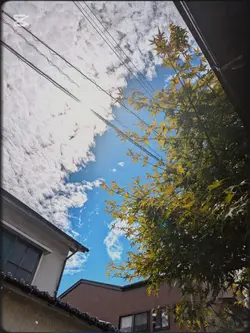 騙シ愛/tuki.