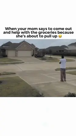 Groceries