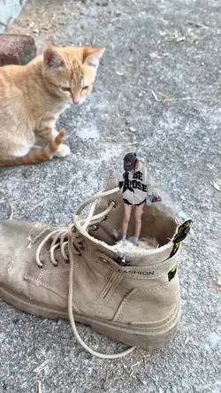 viral video 