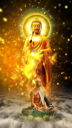 Nam Mô A Di Đà Phật🙏