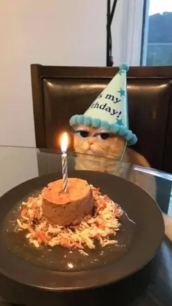 hari yang kau tunggu