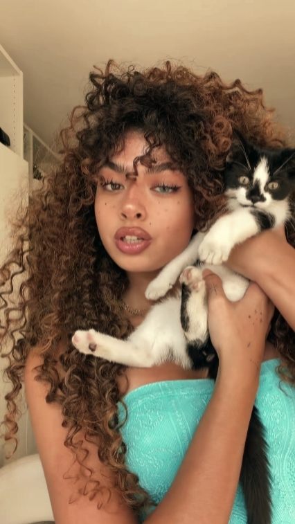 meow 
