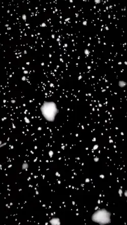Caída de nieve
