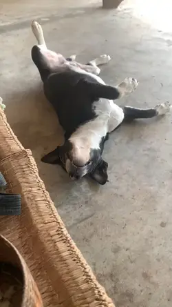 จอมยุทเด๊ะ