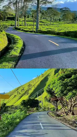 2 video collage 