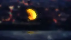 colorful butterfly¹⁵