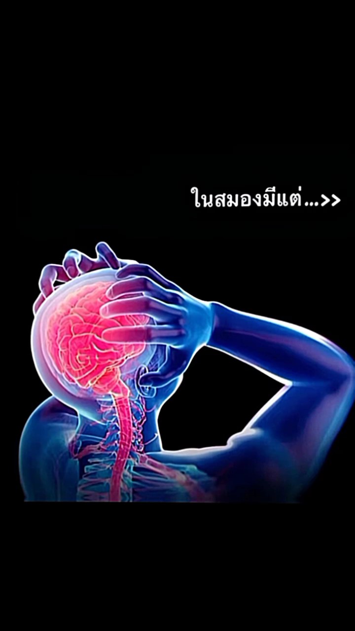 ในสมองมีแต่..>>