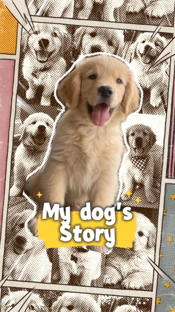 La historia de mi perro