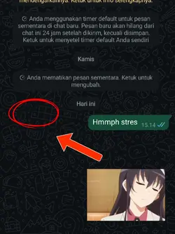 anime chat hmmph.