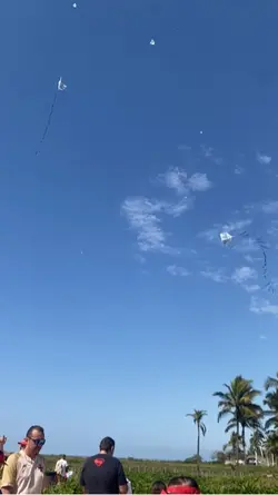 Dia dos pais