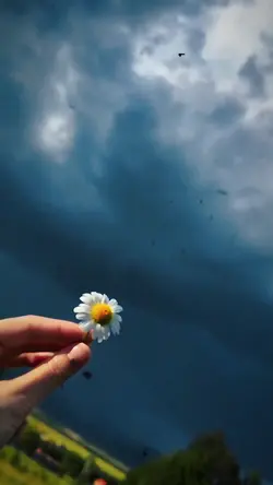 Slowmotion video 🌸✨