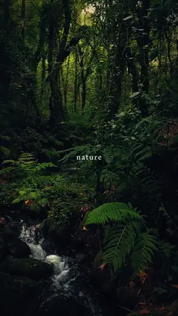 nature