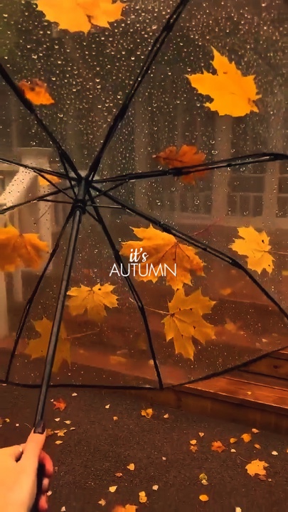 It’s autumn