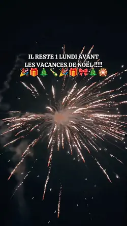Vacances de Noël 