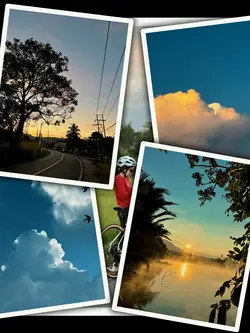5Pic APT Trend Frame