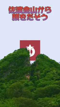 γγΌγ©γΌγγΌγγΌγΎγγγγ