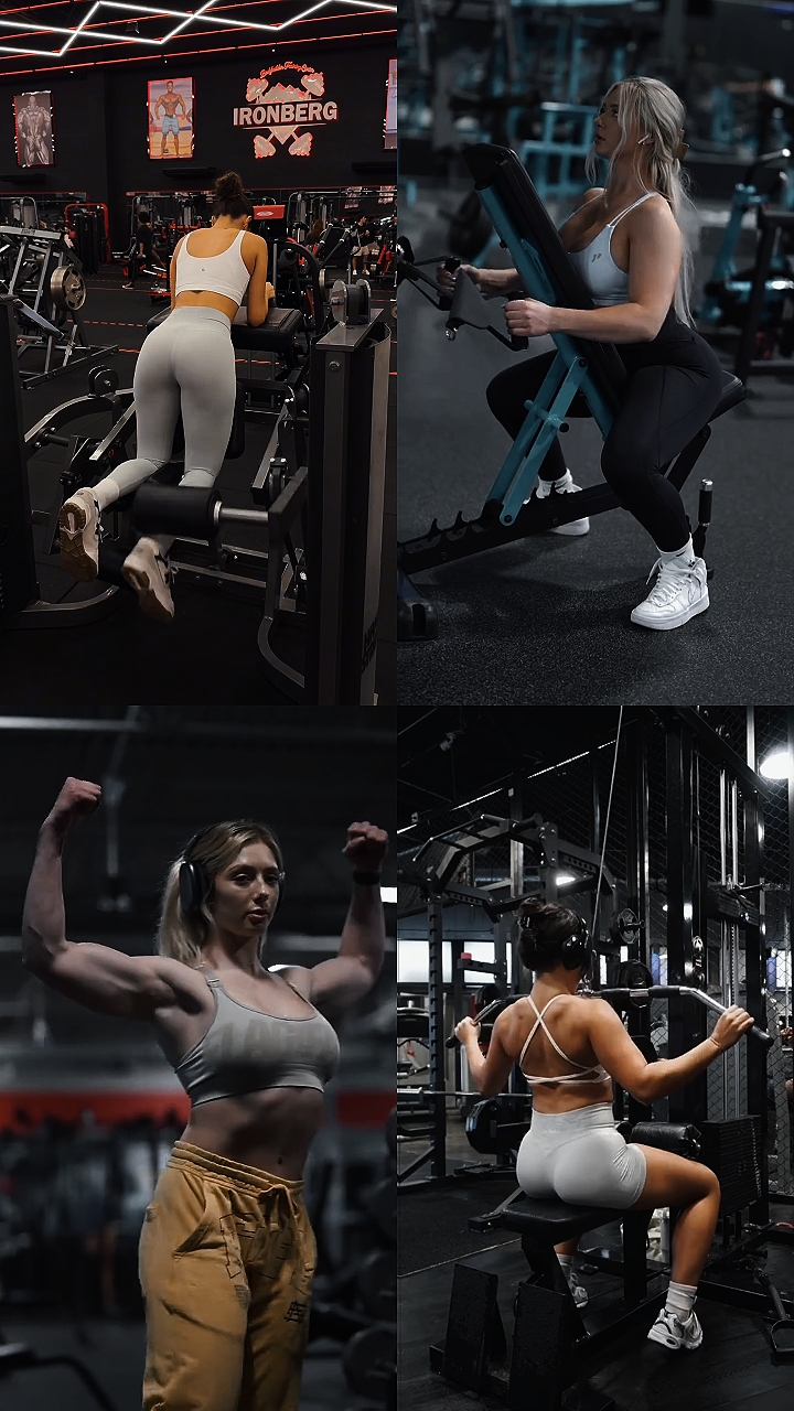 gym pro 8clip