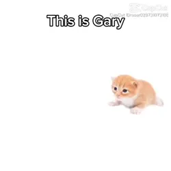 SAY THANK YOU