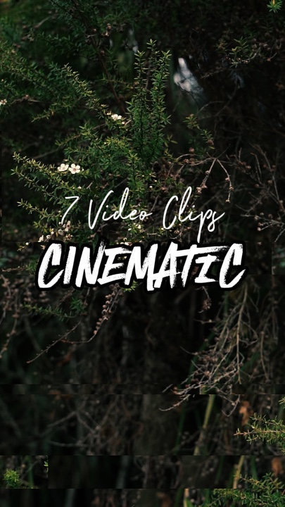 7 mga video clip 