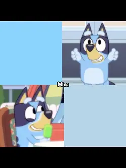 Bluey and bingo
