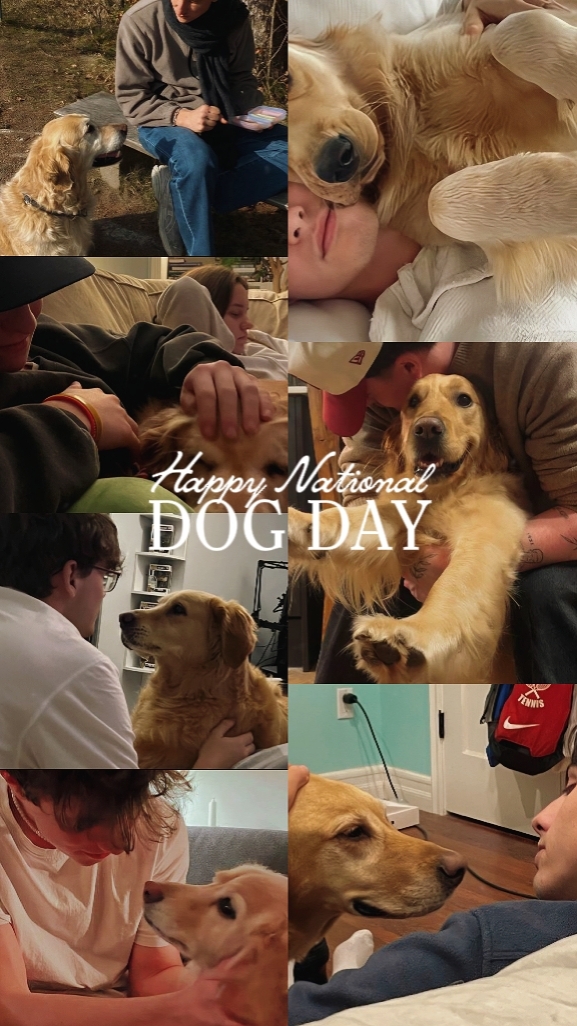 national dog day