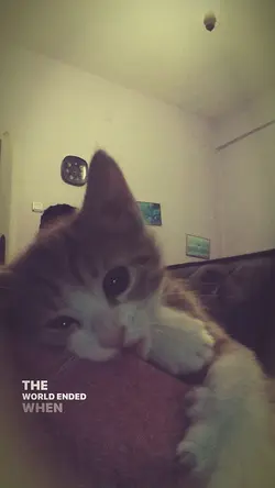 we hug now.