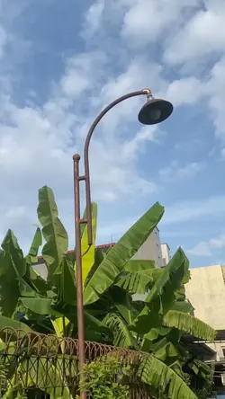 Appatiya appatiko