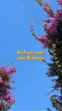 Preset