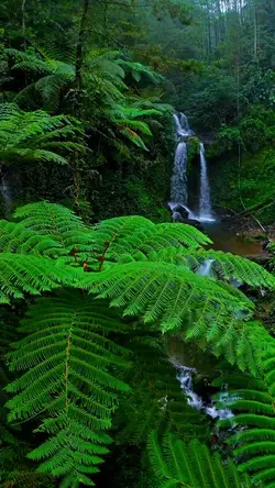 vibes alam aesthetic