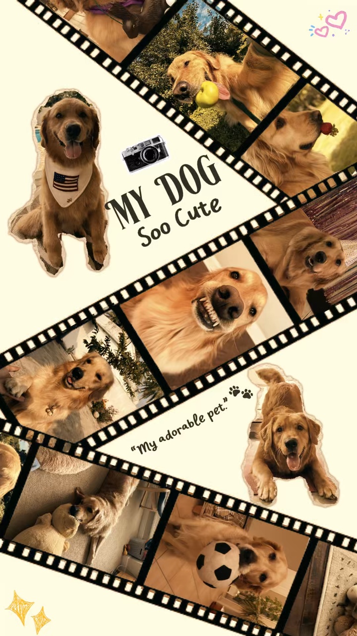 Birthday My Dog 
