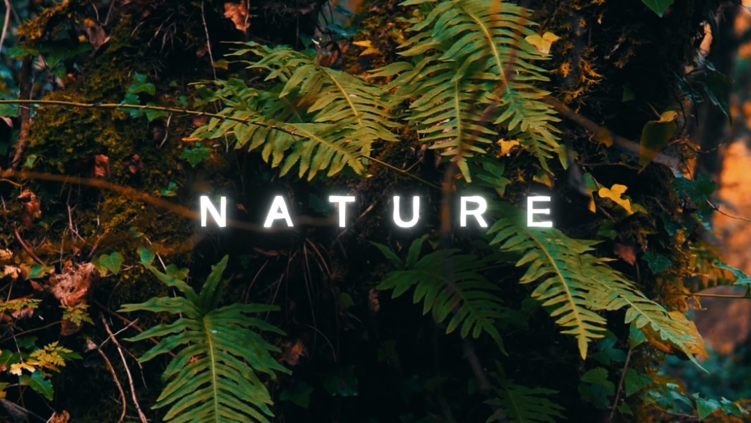 Natureza