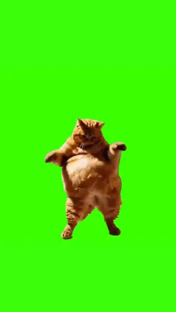 ORANGE CAT DANCING