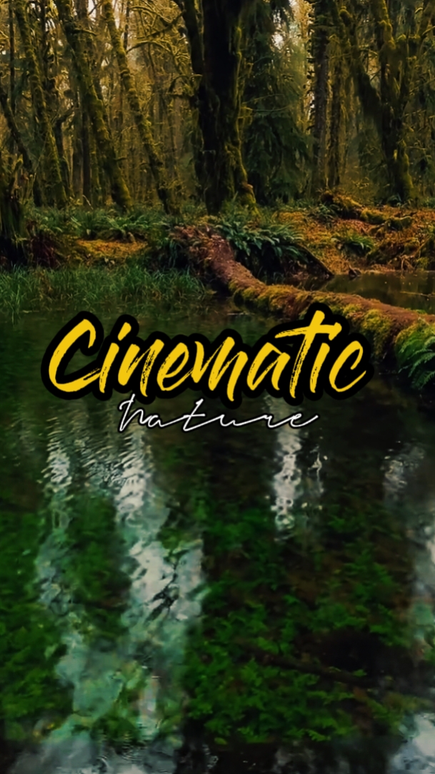 cinematic nature 