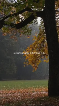 romanticizing life
