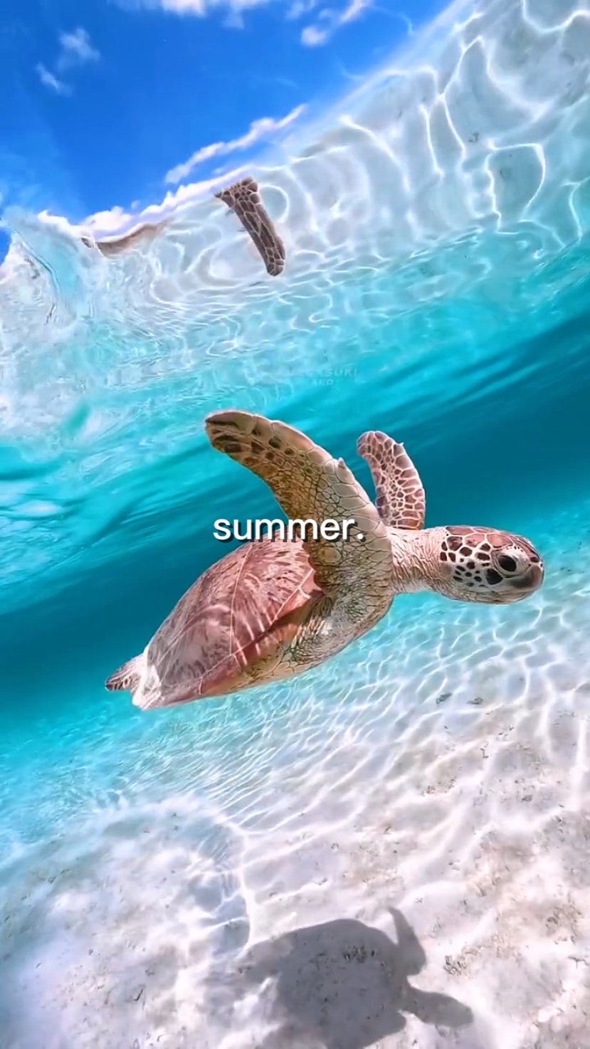 summer