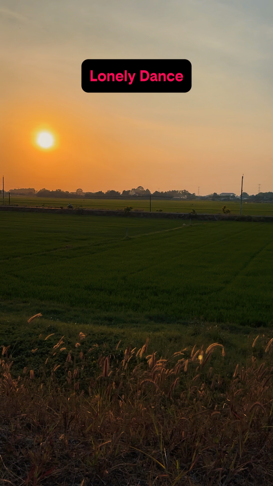Lonely Dance
