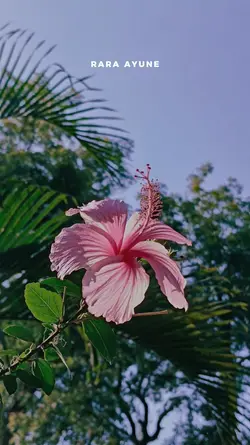 Rara Ayu