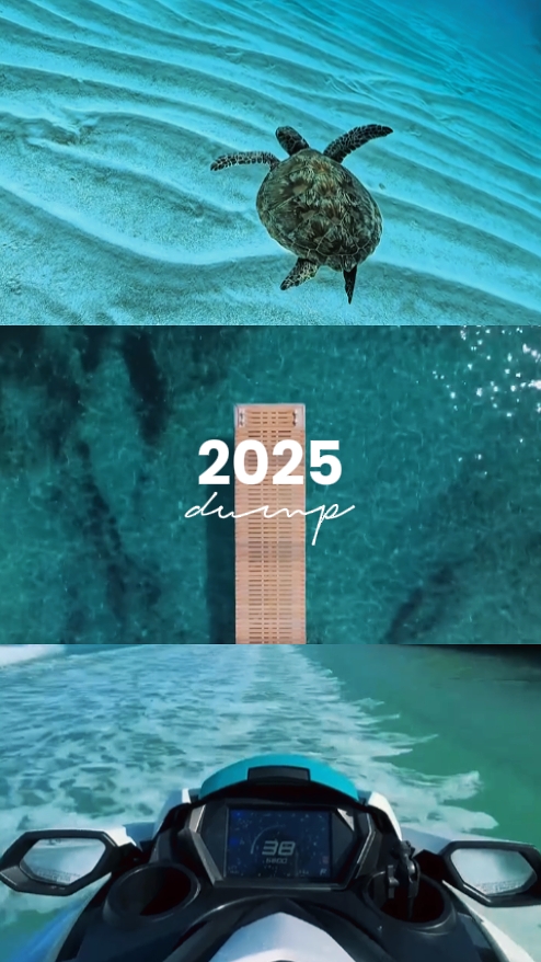 2025 dump