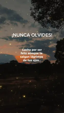 nunca olvides esto