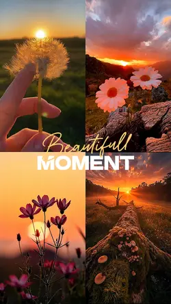 Beautifull Moment
