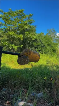 7 clips videos