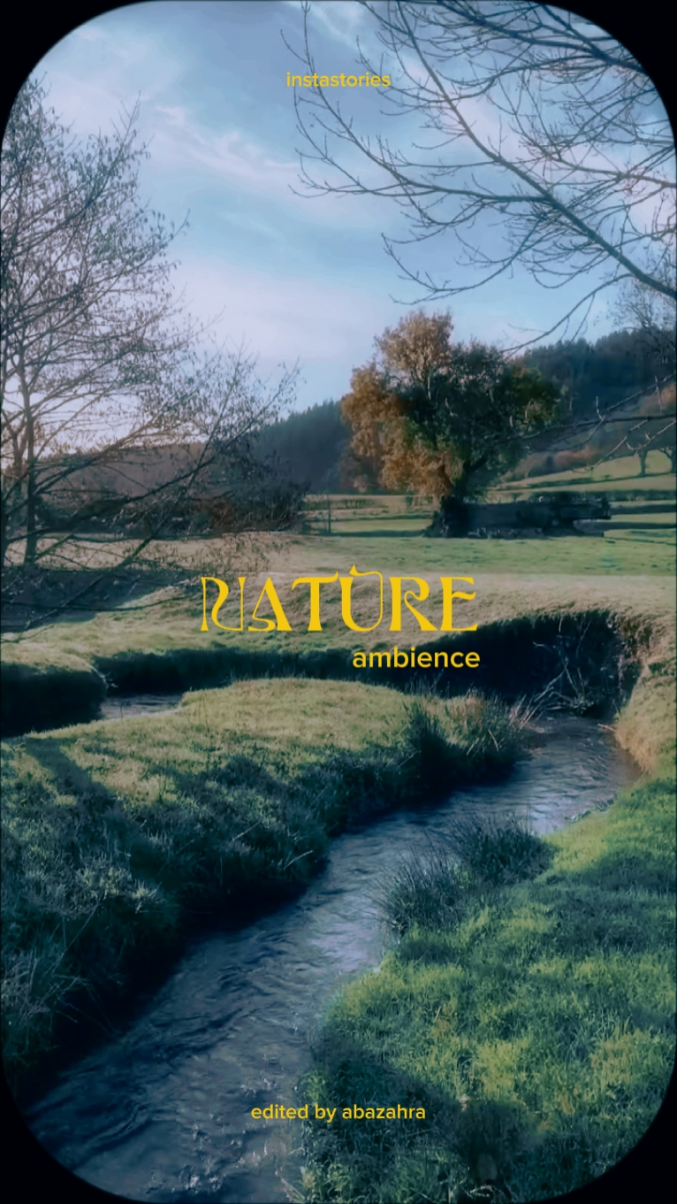 nature ambience