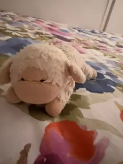 Stuffed animal