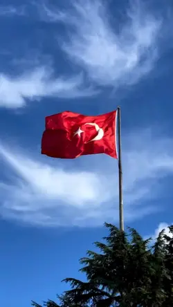 bayrak