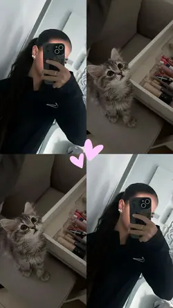 Chattt