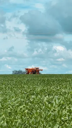 BRAZIL AGRO🇧🇷
