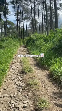 trek gunung
