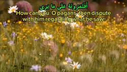 Surah An-Najm 